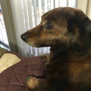 Meet your Posher, Margaret